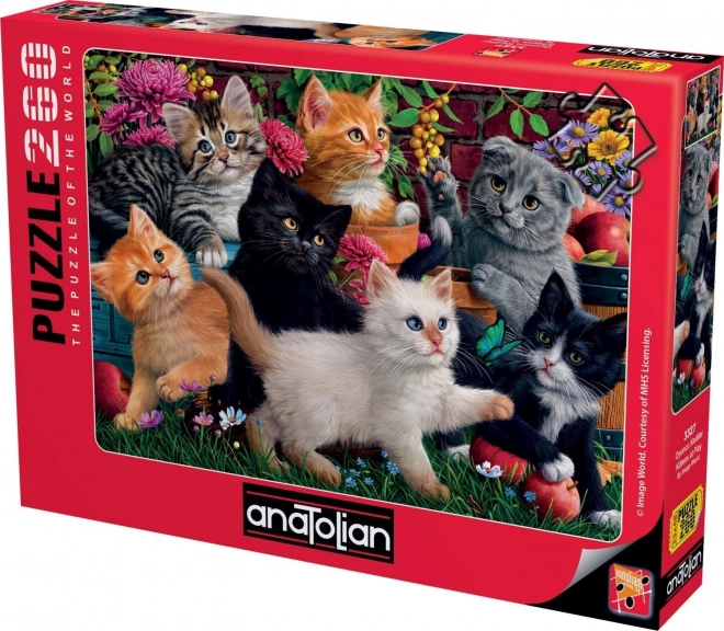 Puzzle Gattini Giocherelloni 260 Pezzi