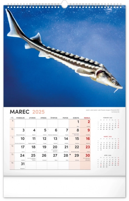 Calendario da parete Pescatore 2025