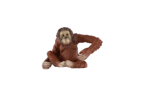 Orangutan di Sumatra figurina in plastica 8 cm confezionata