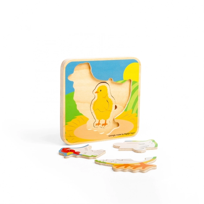 Puzzle Ciclo di Vita della Gallina Bigjigs Toys