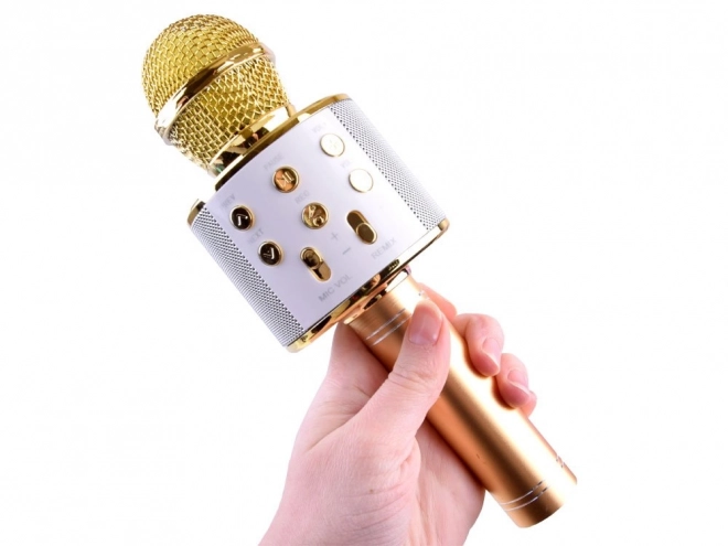 Microfono Karaoke Wireless con Altoparlante