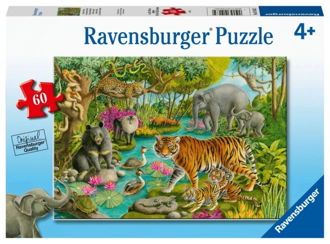 Puzzle Animali Dell'India Ravensburger
