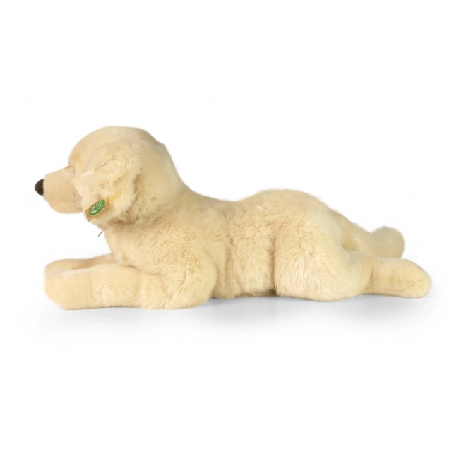 Cane di peluche retriever sdraiato ECO-FRIENDLY 60 cm