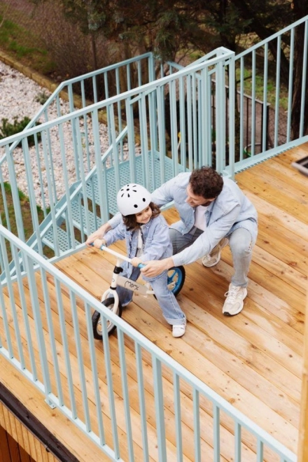 Bicicletta senza pedali MoMi Fleet nera