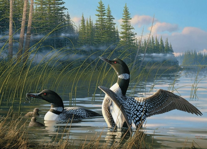 Motivo unico di strolaghe in natura