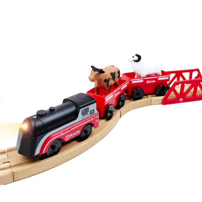 Locomotiva Elettrica con Vagoni a Magnete