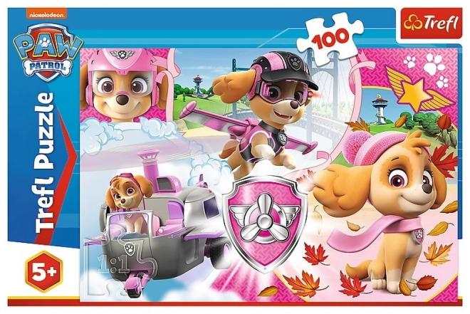 Puzzle 100 pezzi - Paw Patrol Skye in azione