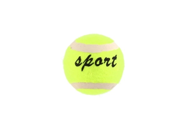 Set di 3 Palline da Tennis