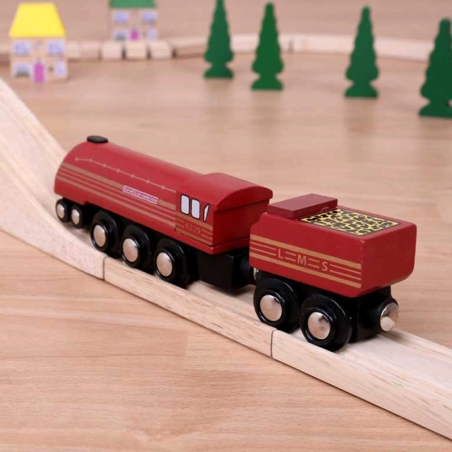 Compatibile con la maggior parte delle piste ferroviarie in legno