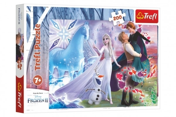 Puzzle Magico Mondo di Sorelle | Frozen 2