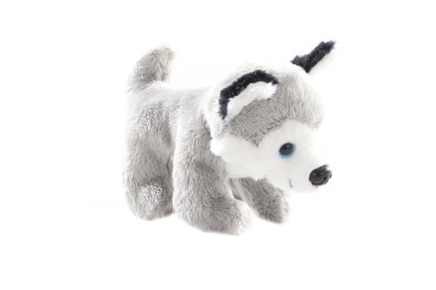 Cane Husky in peluche 13 cm