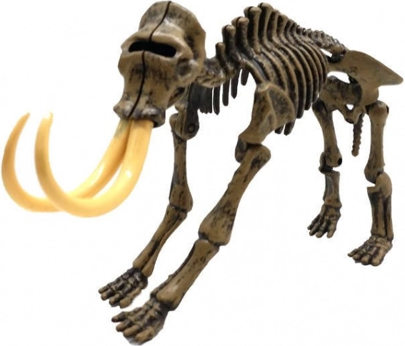 Realistico scheletro 3D di mammut