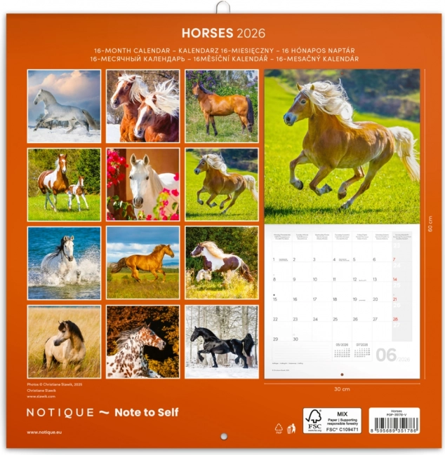 Calendario Illustrato Cavalli Christiane Slawik 2026