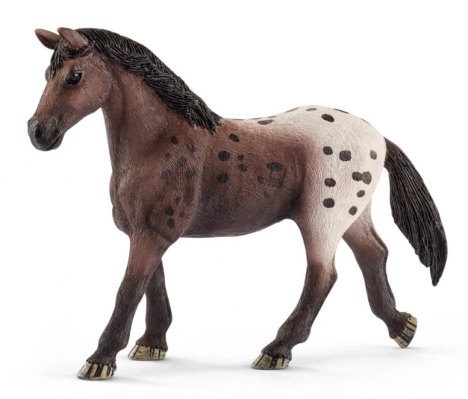 cavallo Appaloosa di SCHLEICH Horse Club