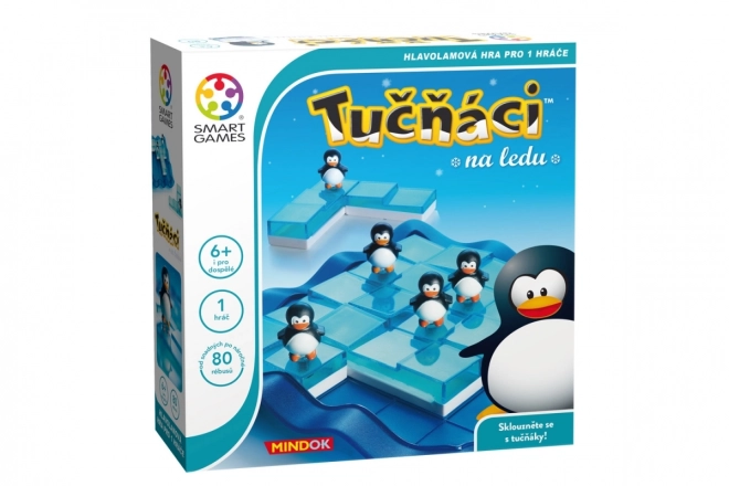Gioco di Logica Smart Pinguini sul Ghiaccio