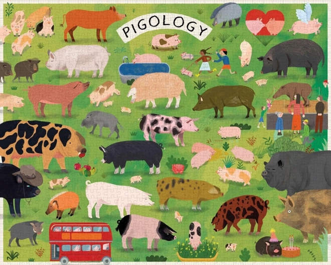 Puzzle Pigology 1000 pezzi