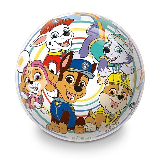 Pallone Paw Patrol