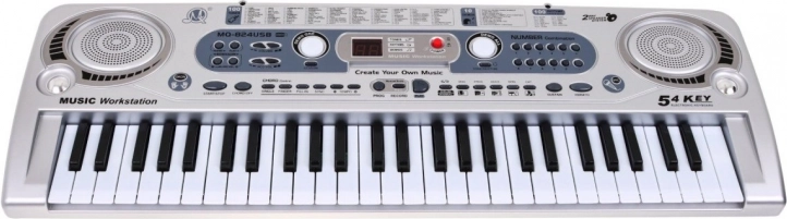 Suono versatile: 100 timbri e 100 ritmi