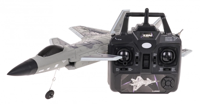 Jet da combattimento RAPTOR-J20 R/C