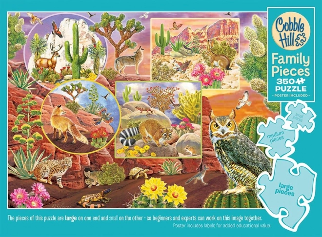 Puzzle magico del deserto per la famiglia