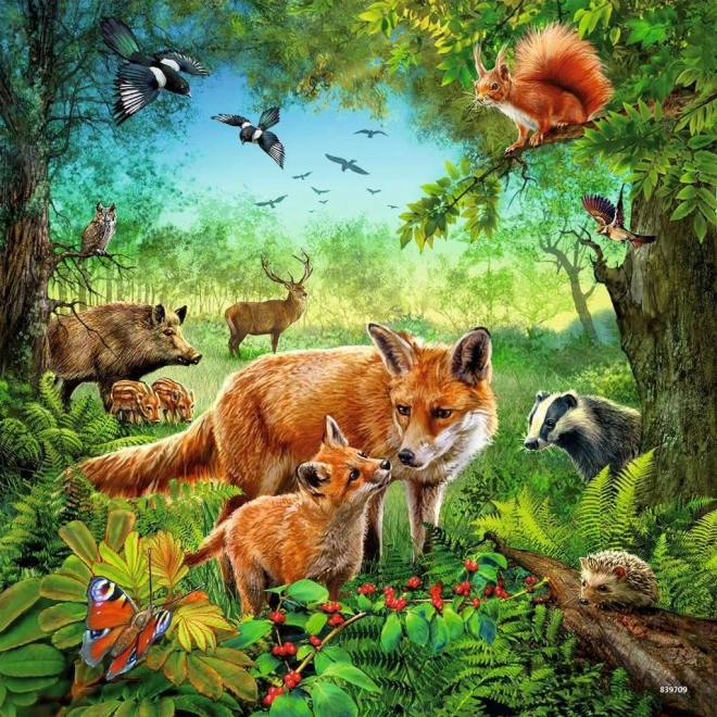 Puzzle Animali 3x49 pezzi RAVENSBURGER