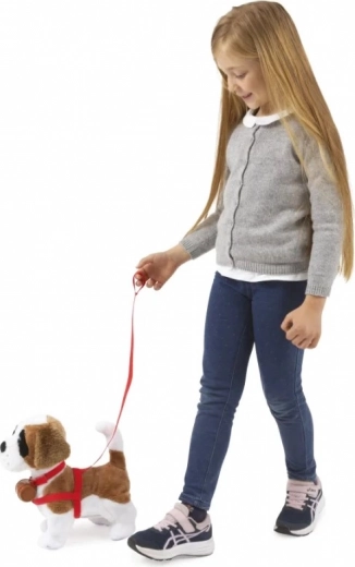 Cammina al guinzaglio e obbedisce al battito di mani