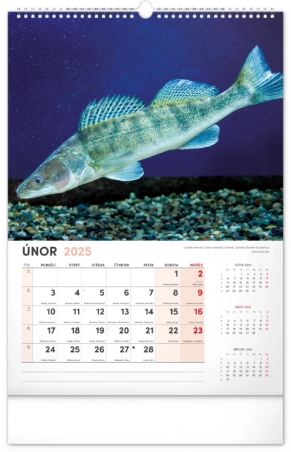 Calendario da Parete da Pesca 2025