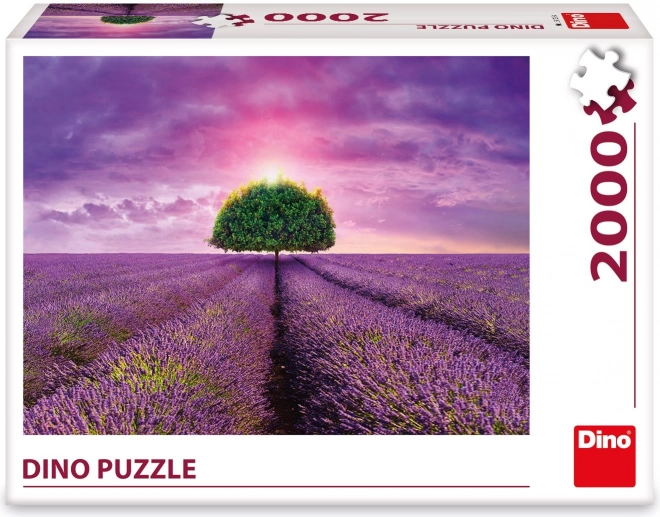 Puzzle Lavanda nei campi 2000 pezzi