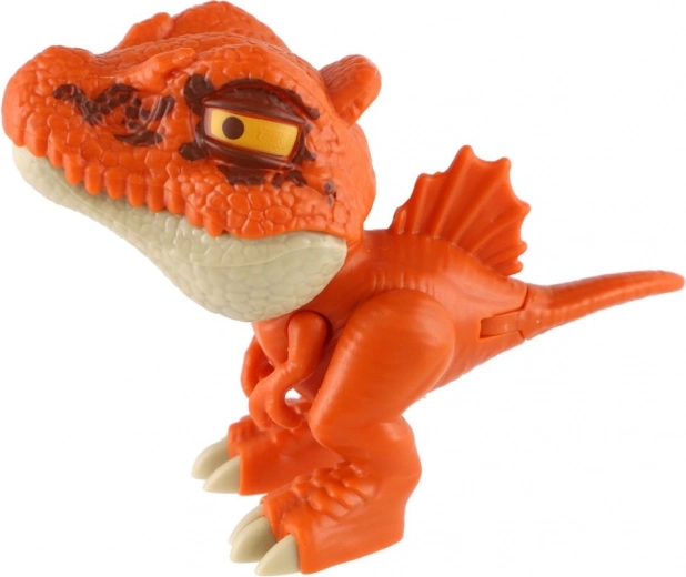 Varie specie e colori