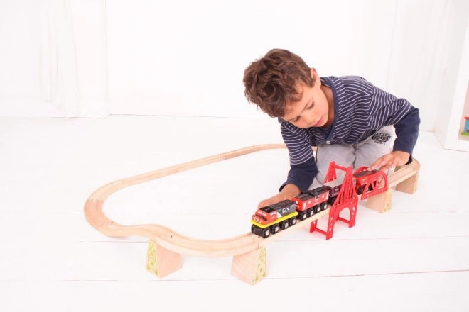 Treno merci Bigjigs Rail con binari