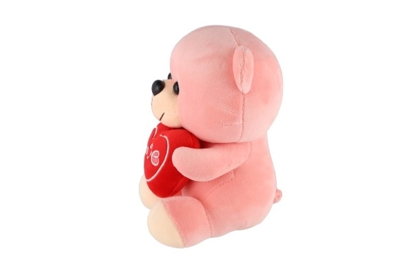 Peluche orsetto seduto con cuore