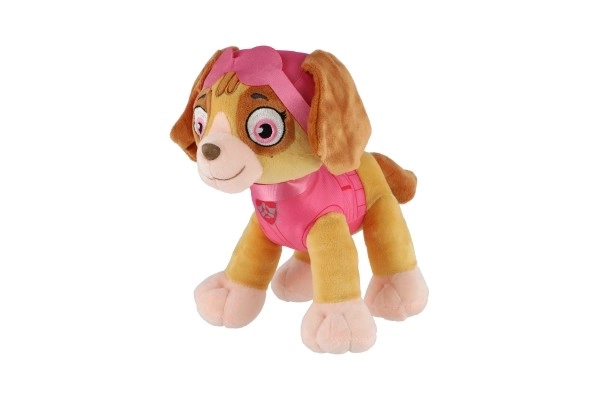 Figura della Paw Patrol Personaggio di peluche 6 tipi