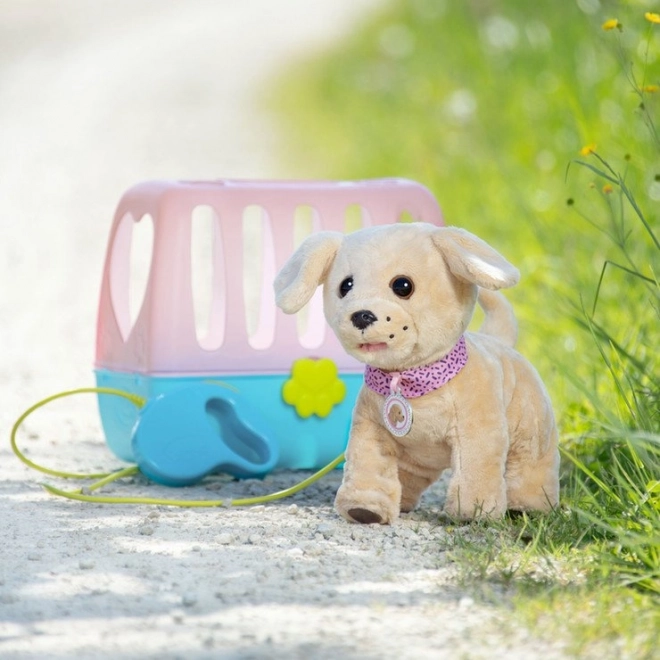 Cagnolino allegro con box di trasporto