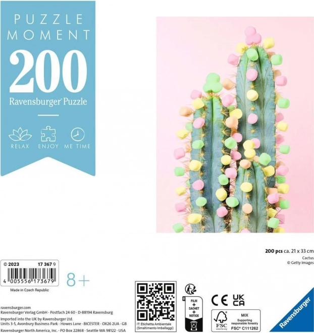 Puzzle Momento Cactus da 200 pezzi