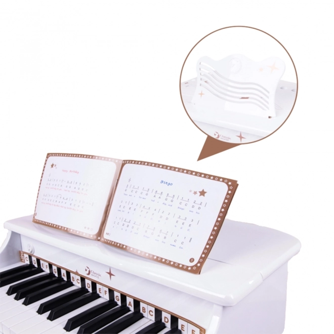 Pianoforte grande per bambini con sgabello e libro di apprendimento Classic World