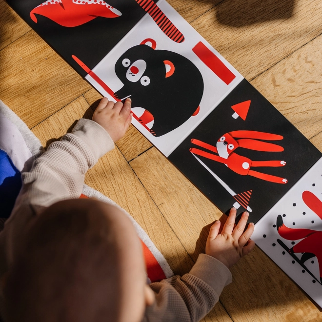 Ababu Leporello a contrasto per neonati con illustrazioni di Patrik Antczak