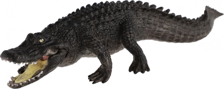 Dettagli realistici per un’esperienza fedele