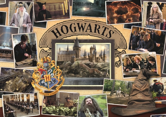 Puzzle Harry Potter: Torneo Tremaghi e Quidditch