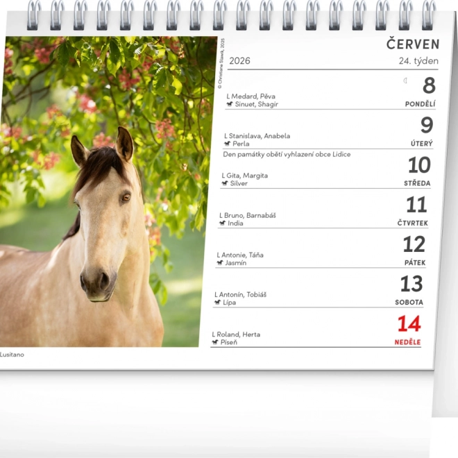 Calendario da tavolo Poesia dei cavalli 2026