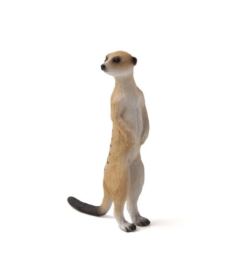 Figurina realistica di Suricata