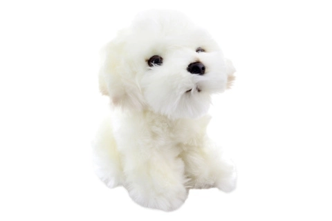 Cane maltese in peluche eco-friendly