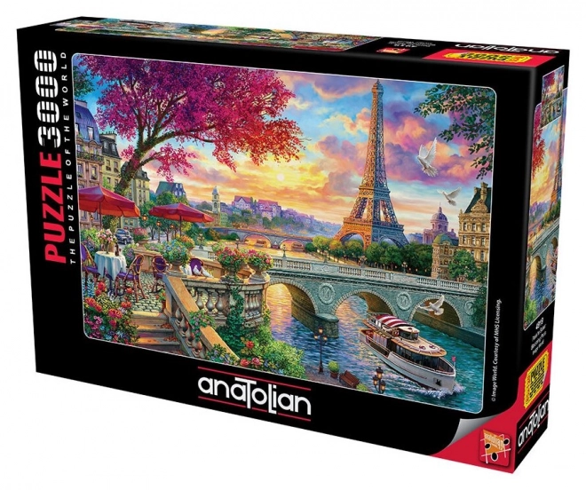 Puzzle Fiore di Parigi 3000 Pezzi