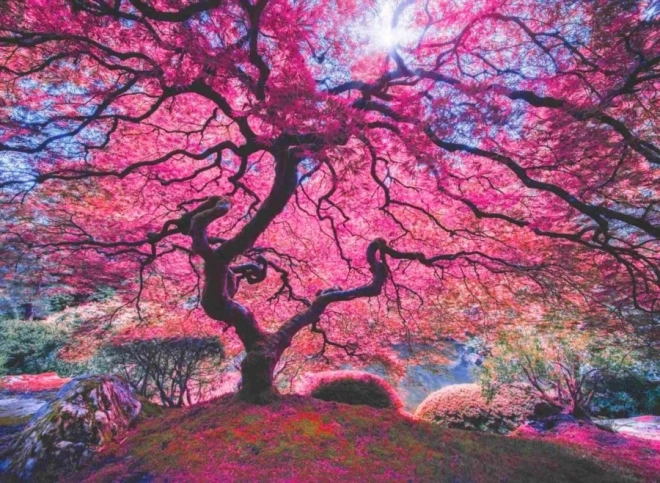 Puzzle albero rosa 1000 pezzi