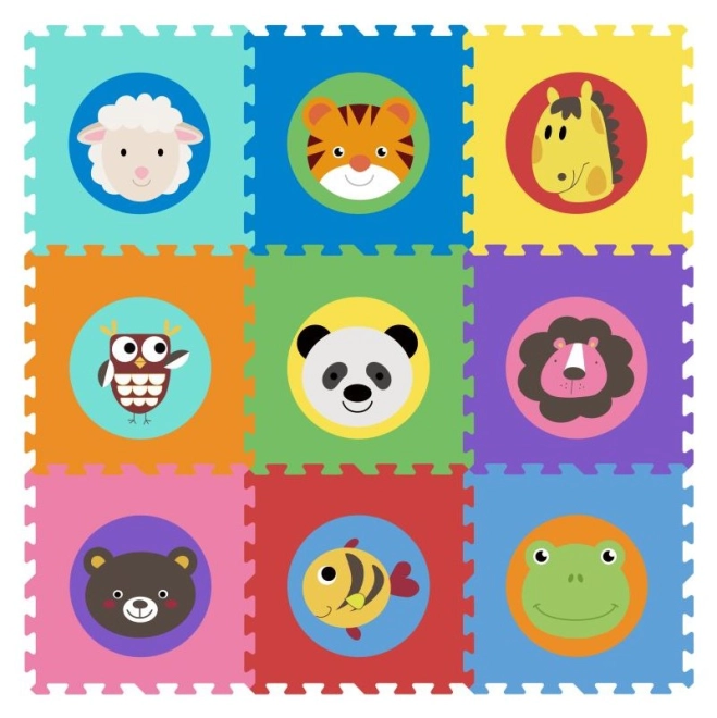 Motivi educativi di animali