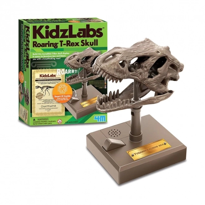 Set educativo Teschio ruggente di T-Rex