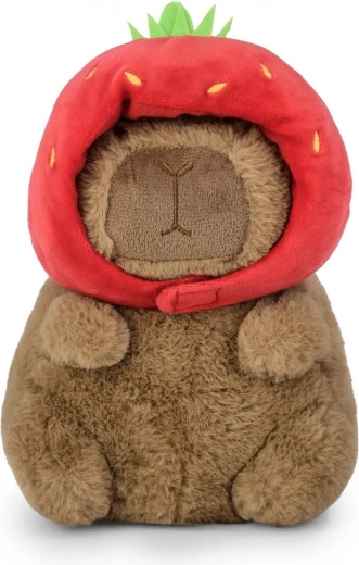 Dimensione ideale 20 cm