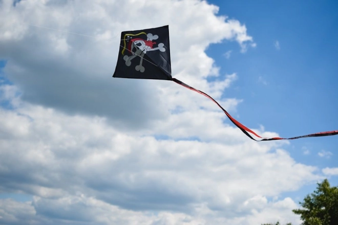 Volo stabile anche con vento variabile