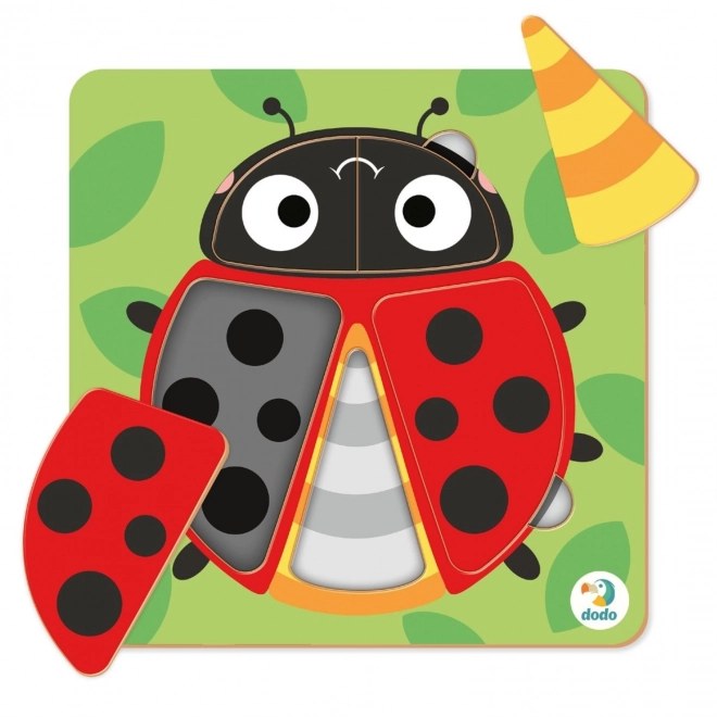 Puzzle Coccinella 5 Pezzi