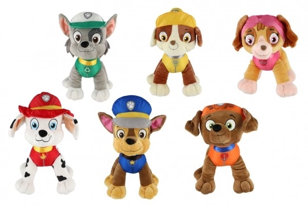 Figura della Paw Patrol Personaggio di peluche 6 tipi