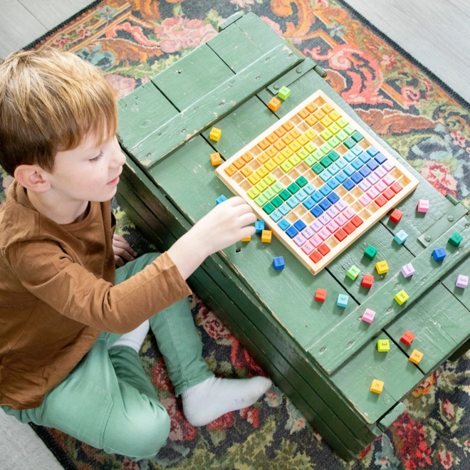 Gioco educativo tabellina in legno